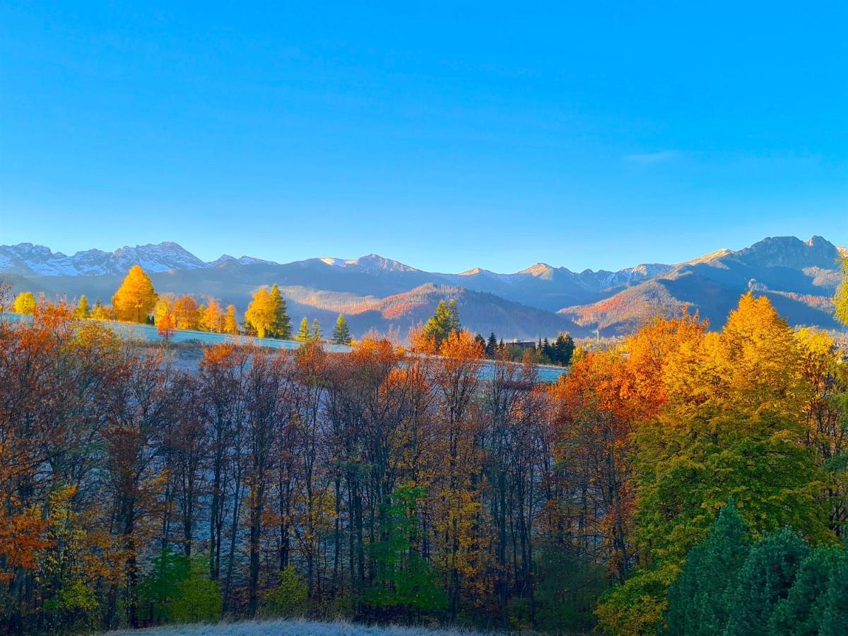 Apartamenty Skalna Chata Zakopane Exterior photo